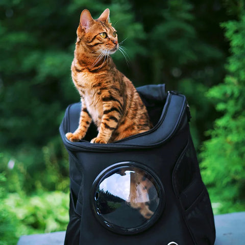 FatCat Backpack carrier with space capsule bubble