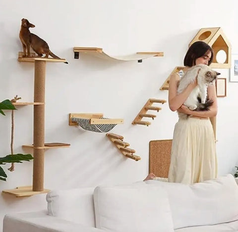 Cat wall