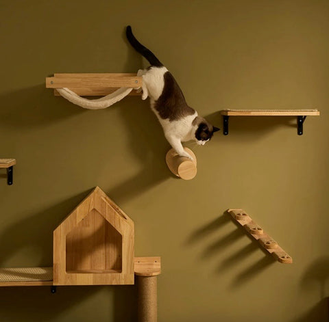 Catify your living space with cozy nooks and climbing structures