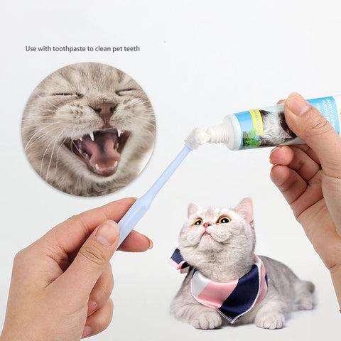 Cat toothpaste australia hot sale