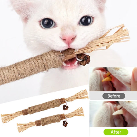 Silvervine dental chew with gall fruit