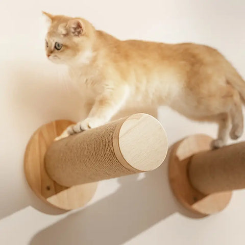 Paws & Claws sisal step