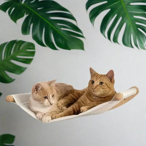 Ivory hammock